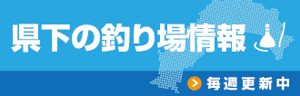 県下の釣り場情報