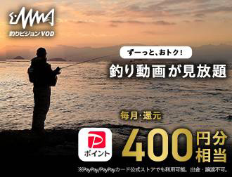 釣りビジョン 